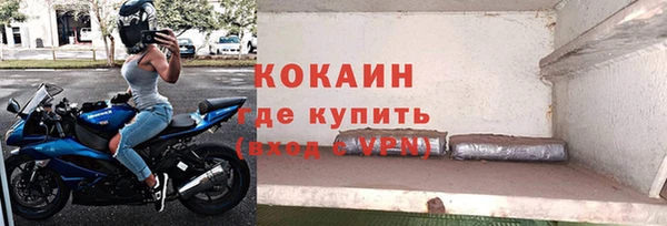 соль ск Алексин